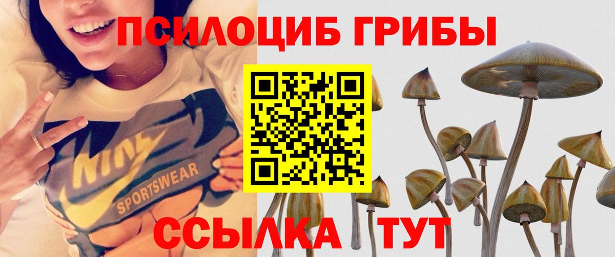 Батайск  Псилоцибиновые грибы Psilocybine cubensis  Вход с VPN 